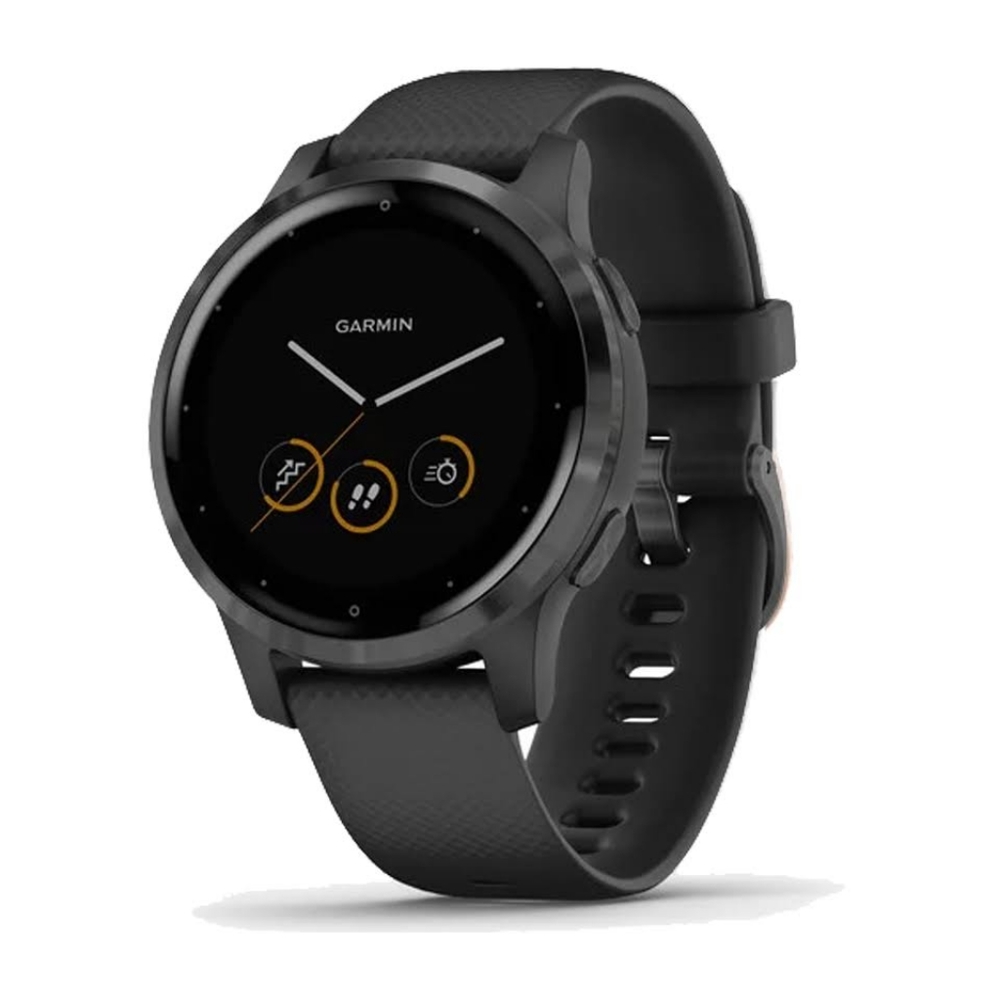 Garmin Vivoactive 4s Watch in Slate